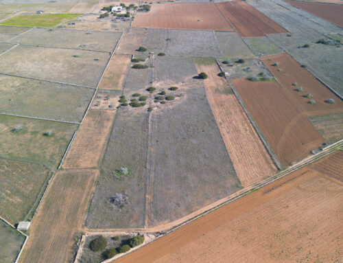 Terreno La Mola Cami des Monastir