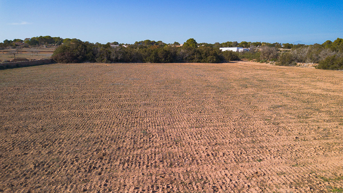 DJI_0057