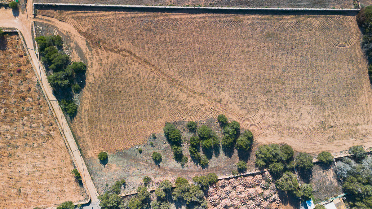 DJI_0066