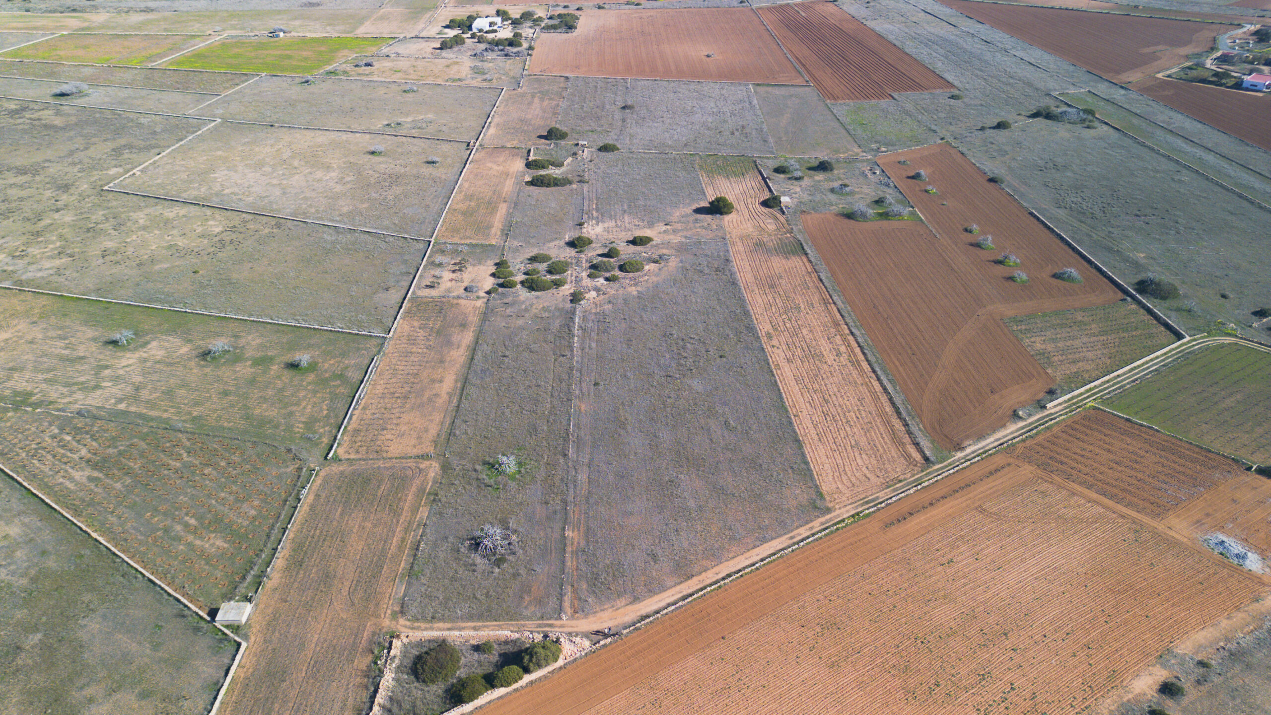 DJI_0020
