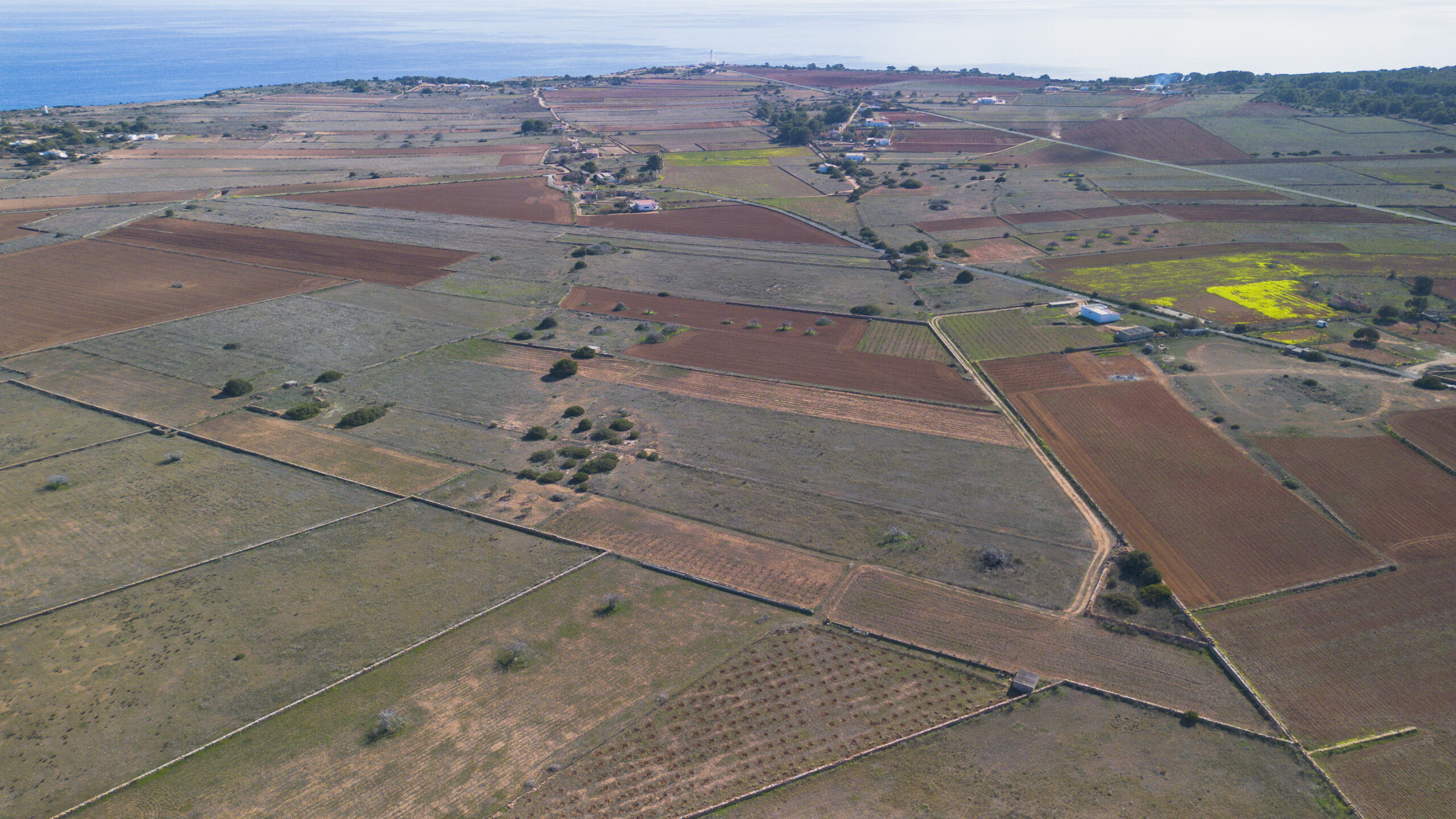 DJI_0028