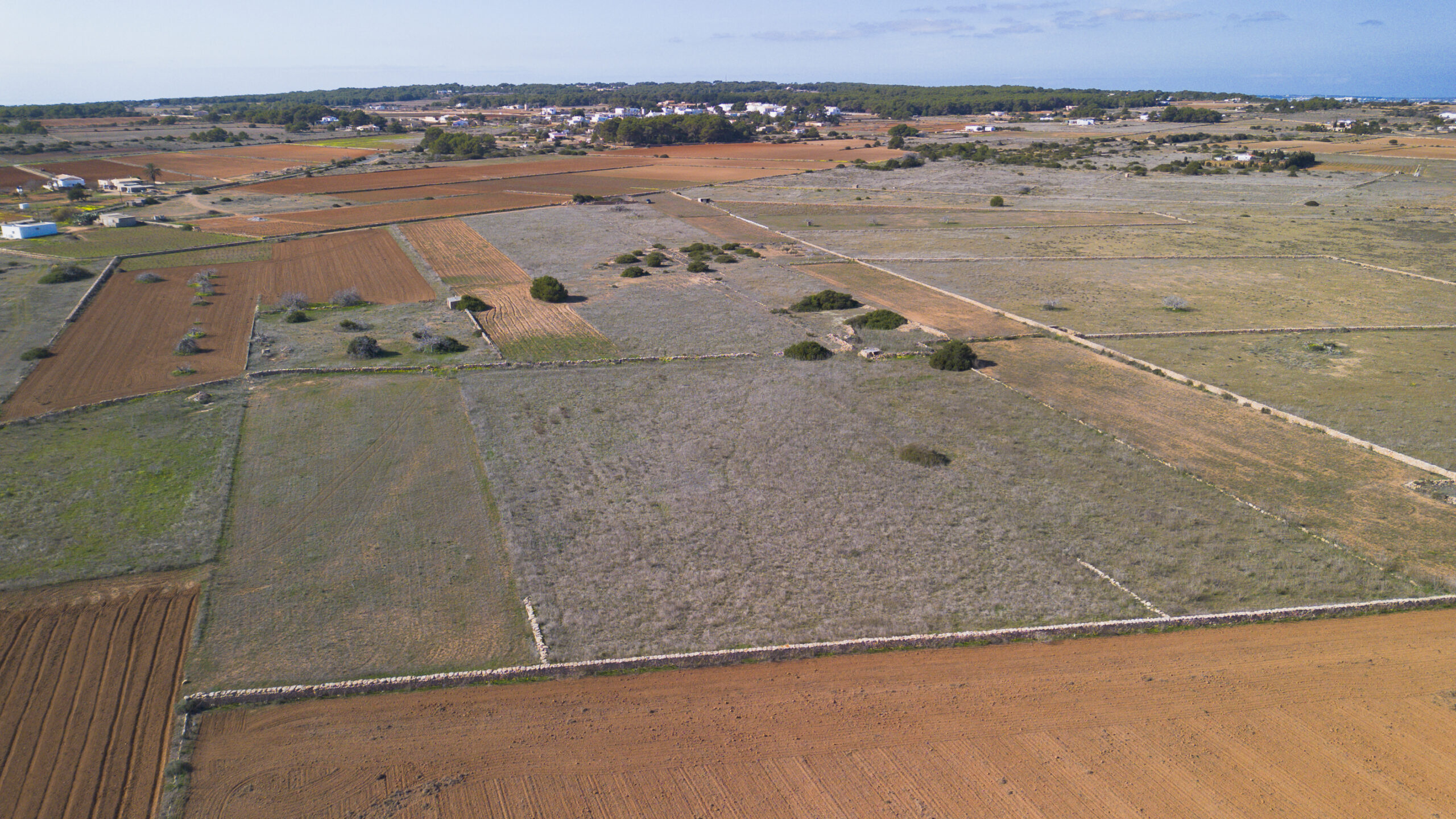 DJI_0032